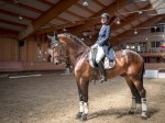 Clubul Equestria, Echitatie Si Relaxare, Langa Bucuresti 24